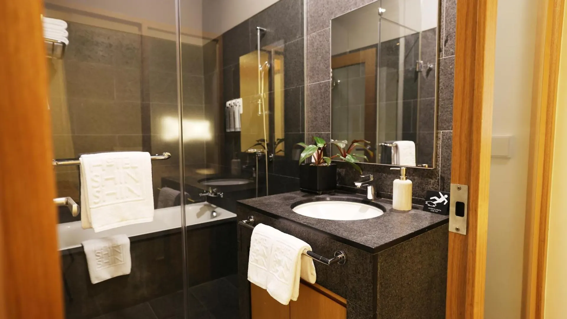Seoul Hotel Shinshin Myeongdong 3*,  South Korea